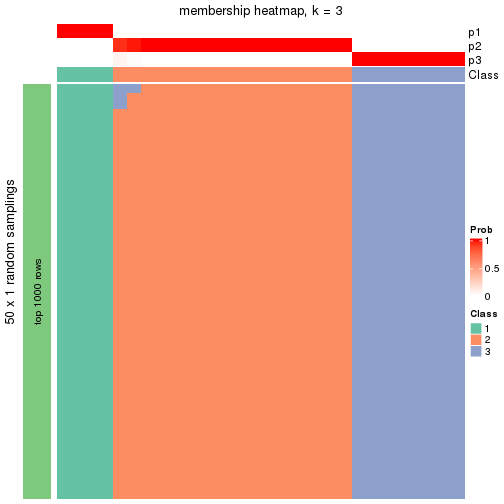 plot of chunk tab-node-0232-membership-heatmap-2