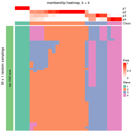 plot of chunk tab-node-0232-membership-heatmap-3