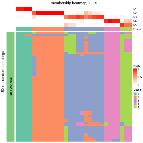 plot of chunk tab-node-0232-membership-heatmap-4