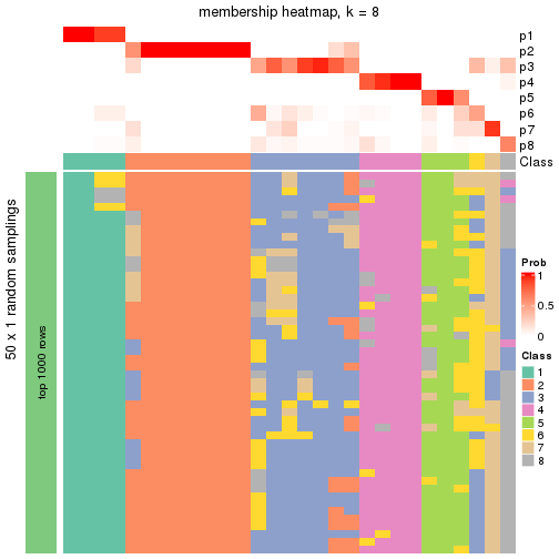 plot of chunk tab-node-0232-membership-heatmap-7