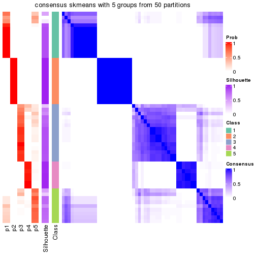 plot of chunk tab-node-03-consensus-heatmap-4