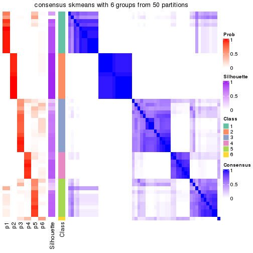 plot of chunk tab-node-03-consensus-heatmap-5