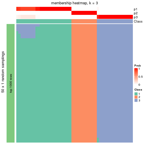 plot of chunk tab-node-03-membership-heatmap-2