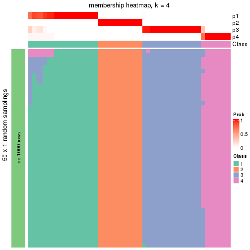 plot of chunk tab-node-03-membership-heatmap-3