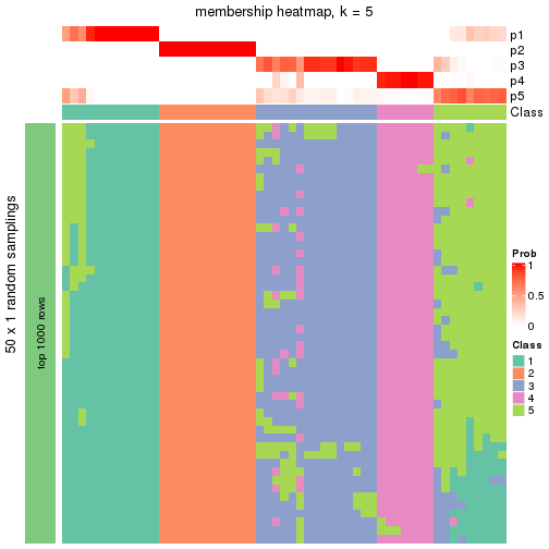 plot of chunk tab-node-03-membership-heatmap-4