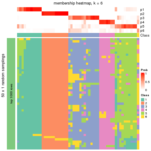 plot of chunk tab-node-03-membership-heatmap-5