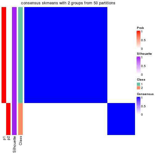 plot of chunk tab-node-033-consensus-heatmap-1