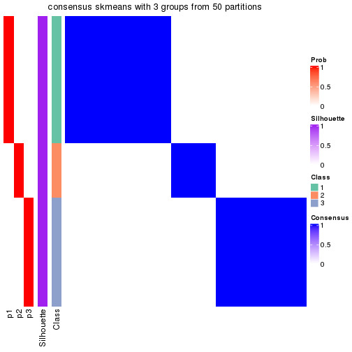 plot of chunk tab-node-033-consensus-heatmap-2