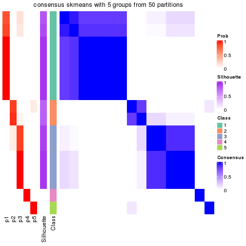 plot of chunk tab-node-033-consensus-heatmap-4