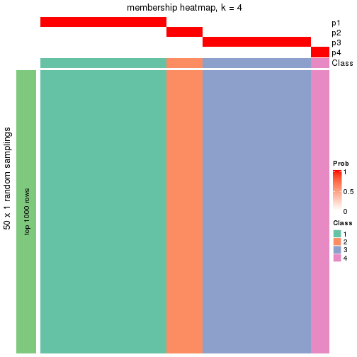 plot of chunk tab-node-033-membership-heatmap-3