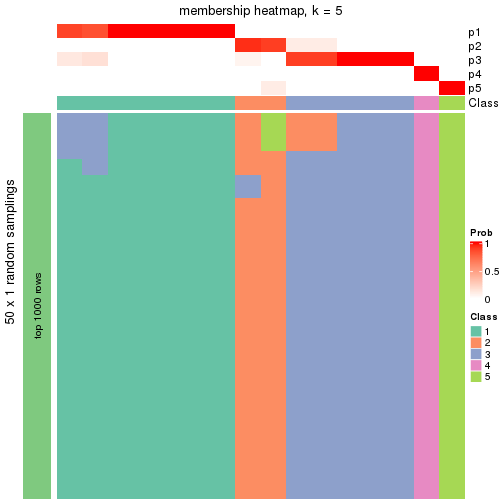 plot of chunk tab-node-033-membership-heatmap-4