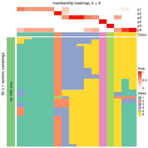 plot of chunk tab-node-033-membership-heatmap-5