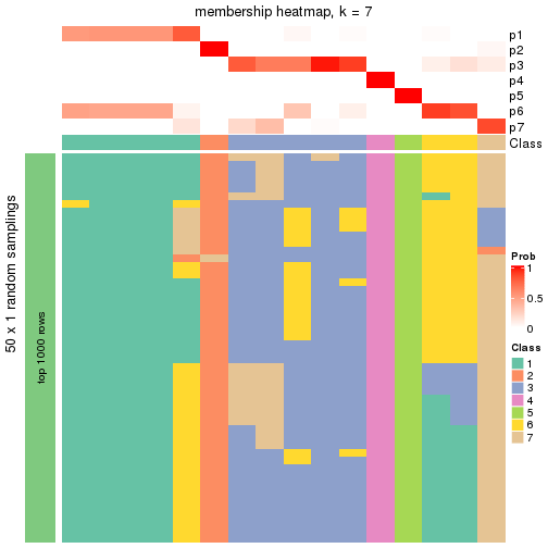 plot of chunk tab-node-033-membership-heatmap-6