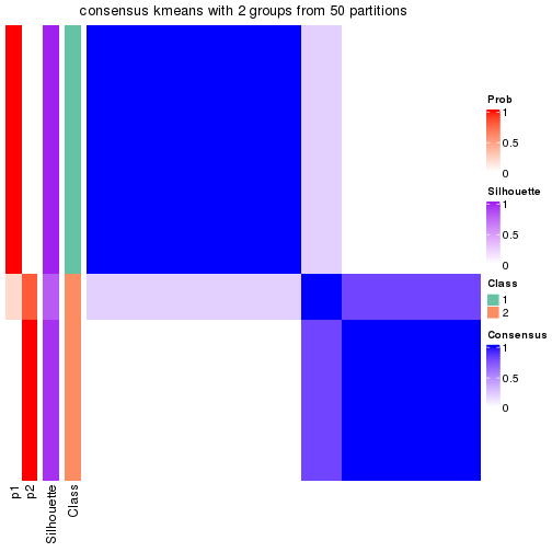 plot of chunk tab-node-04-consensus-heatmap-1