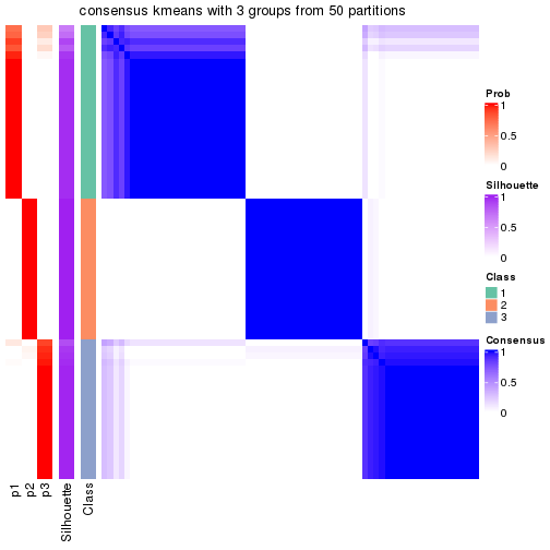 plot of chunk tab-node-04-consensus-heatmap-2