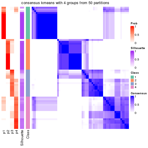 plot of chunk tab-node-04-consensus-heatmap-3