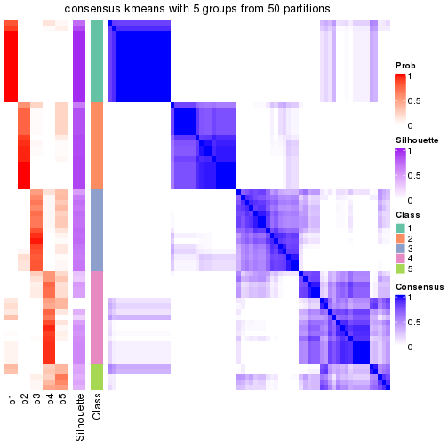 plot of chunk tab-node-04-consensus-heatmap-4