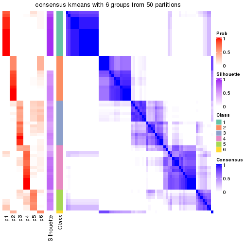 plot of chunk tab-node-04-consensus-heatmap-5