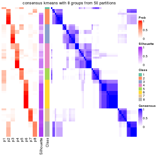 plot of chunk tab-node-04-consensus-heatmap-7