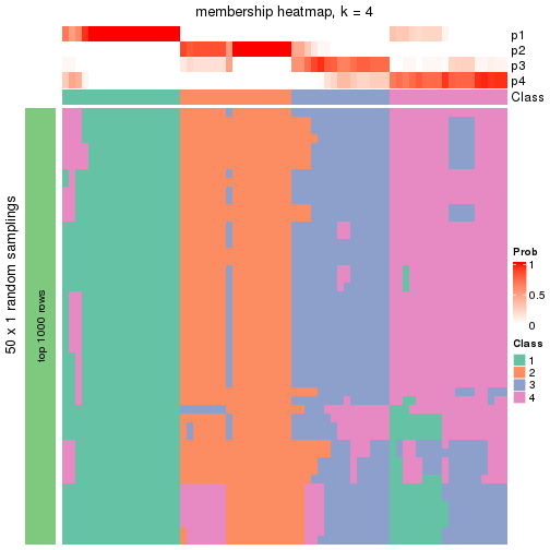 plot of chunk tab-node-04-membership-heatmap-3