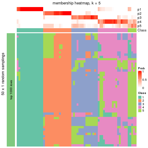 plot of chunk tab-node-04-membership-heatmap-4