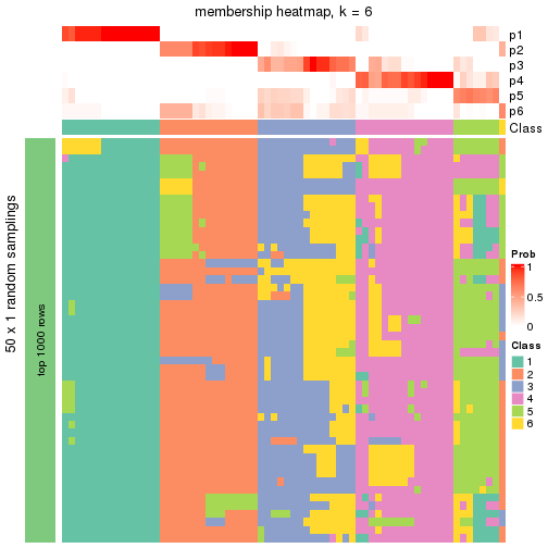 plot of chunk tab-node-04-membership-heatmap-5