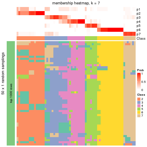 plot of chunk tab-node-04-membership-heatmap-6