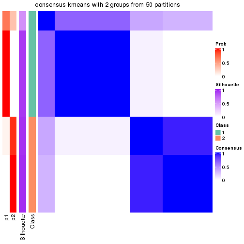 plot of chunk tab-node-043-consensus-heatmap-1