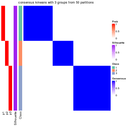 plot of chunk tab-node-043-consensus-heatmap-2