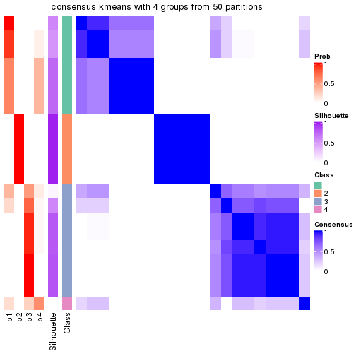 plot of chunk tab-node-043-consensus-heatmap-3