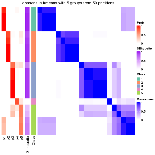 plot of chunk tab-node-043-consensus-heatmap-4