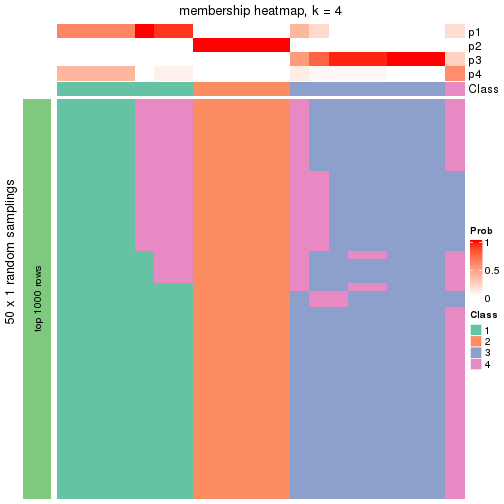 plot of chunk tab-node-043-membership-heatmap-3