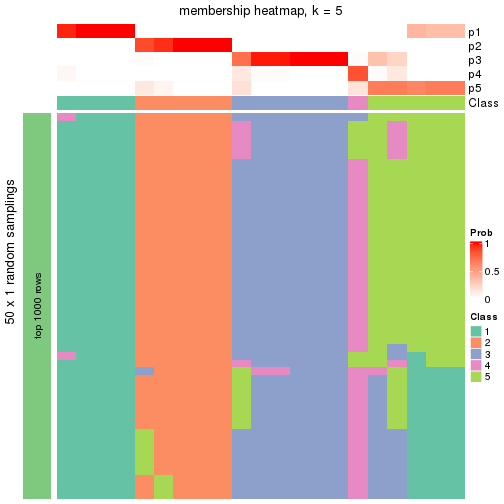 plot of chunk tab-node-043-membership-heatmap-4