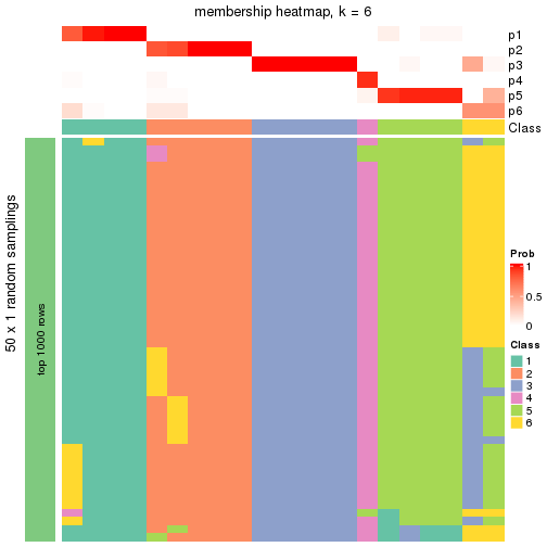 plot of chunk tab-node-043-membership-heatmap-5