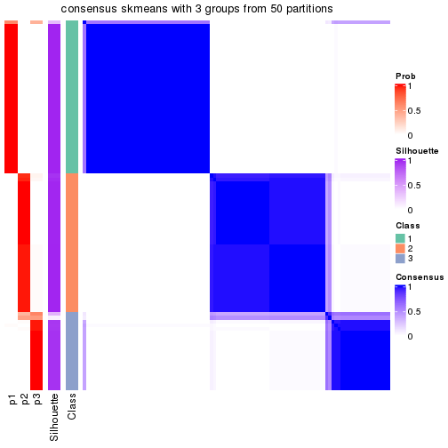 plot of chunk tab-node-05-consensus-heatmap-2