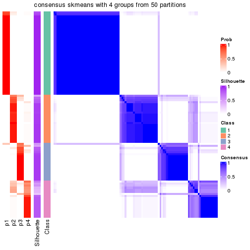 plot of chunk tab-node-05-consensus-heatmap-3