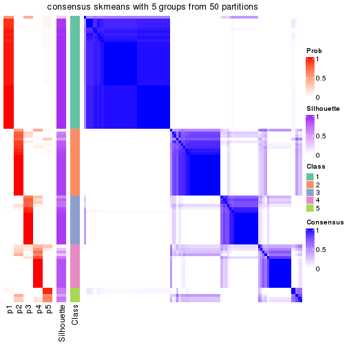 plot of chunk tab-node-05-consensus-heatmap-4