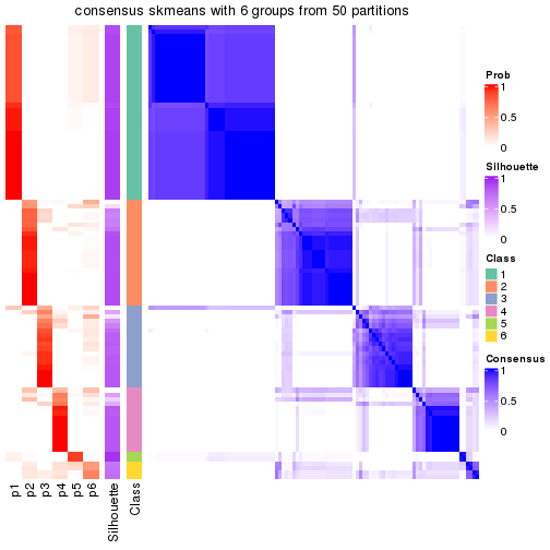 plot of chunk tab-node-05-consensus-heatmap-5