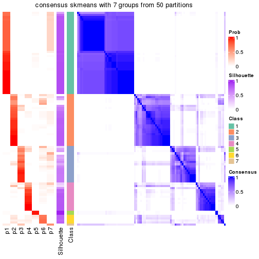 plot of chunk tab-node-05-consensus-heatmap-6