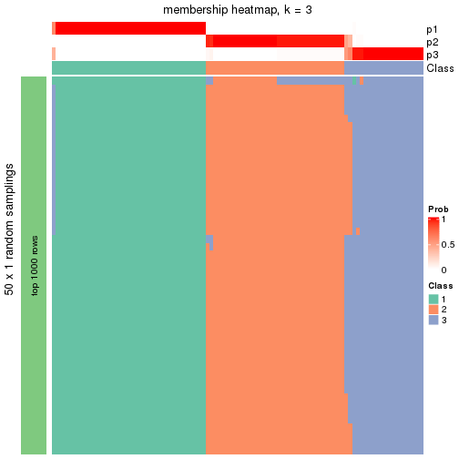 plot of chunk tab-node-05-membership-heatmap-2