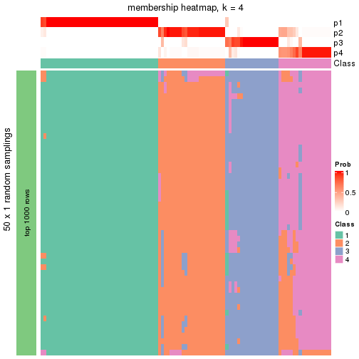 plot of chunk tab-node-05-membership-heatmap-3