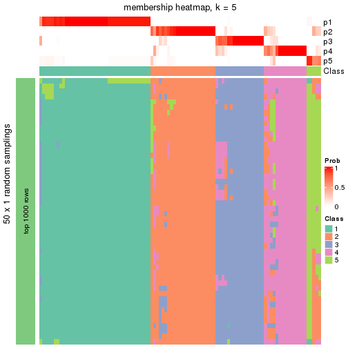 plot of chunk tab-node-05-membership-heatmap-4