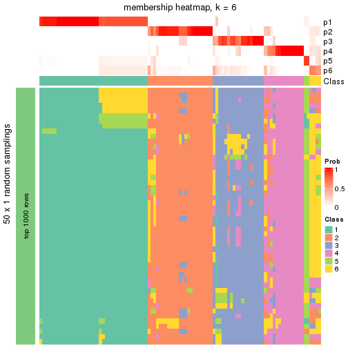 plot of chunk tab-node-05-membership-heatmap-5