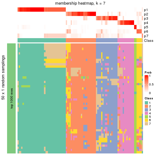 plot of chunk tab-node-05-membership-heatmap-6