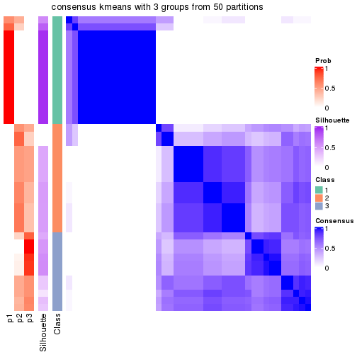 plot of chunk tab-node-051-consensus-heatmap-2