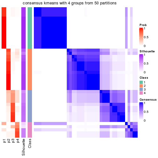 plot of chunk tab-node-051-consensus-heatmap-3