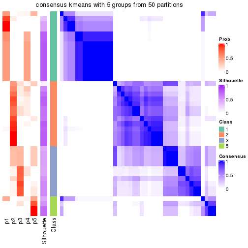 plot of chunk tab-node-051-consensus-heatmap-4