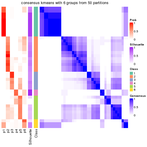 plot of chunk tab-node-051-consensus-heatmap-5