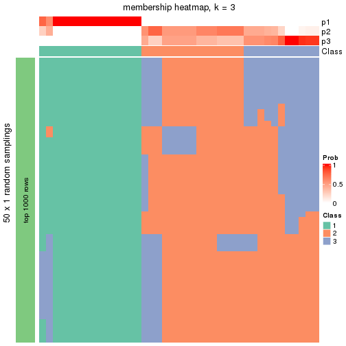 plot of chunk tab-node-051-membership-heatmap-2