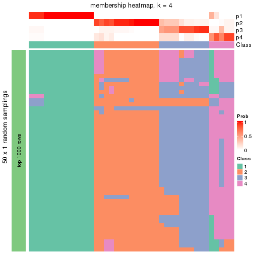 plot of chunk tab-node-051-membership-heatmap-3